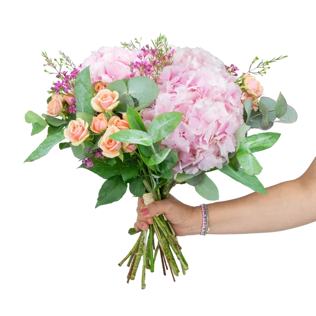 A bouquet of hydrangeas